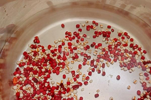 红豆薏米水的做法图解4
