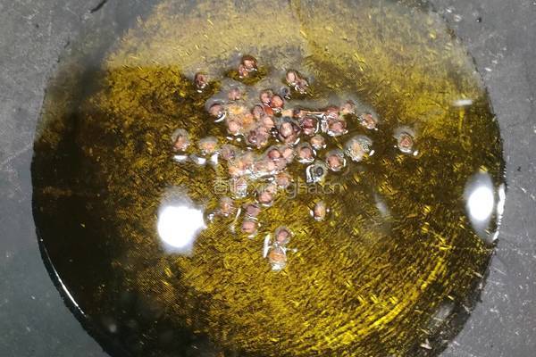火爆大头菜的做法图解4