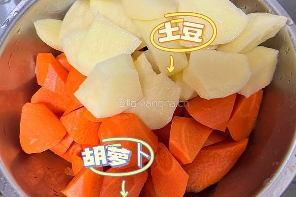 红烧牛肉的做法图解2