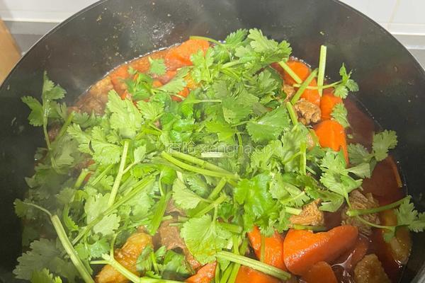 红烧牛肉的做法图解8