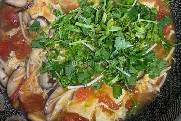 番茄豆腐汤的做法图解5