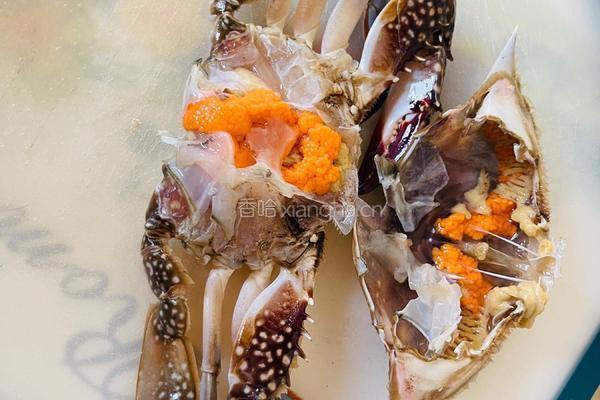 肉饼和乐蟹的做法图解5