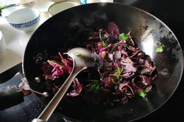 蒜瓣炒苋菜的做法图解5