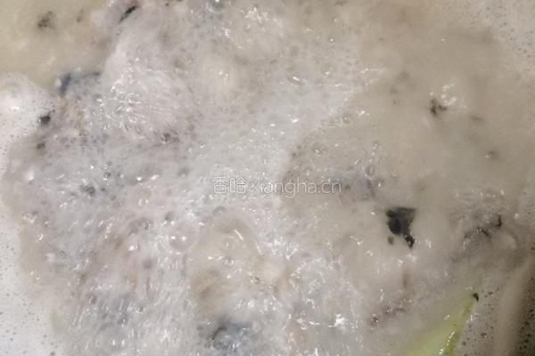 鲫鱼豆腐汤的做法图解9