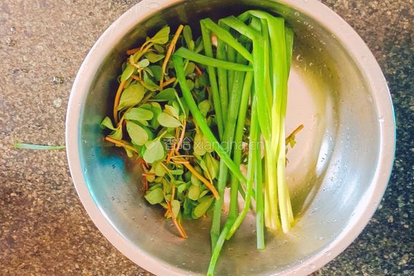 马齿苋鸡蛋饼的做法图解2