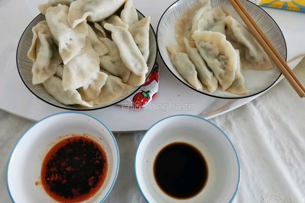 韭菜鸡蛋饺子的做法图解8