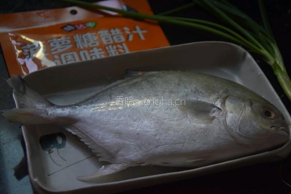 糖醋鱼的做法图解1
