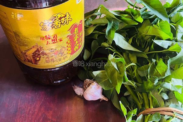 炒空心菜的做法图解1
