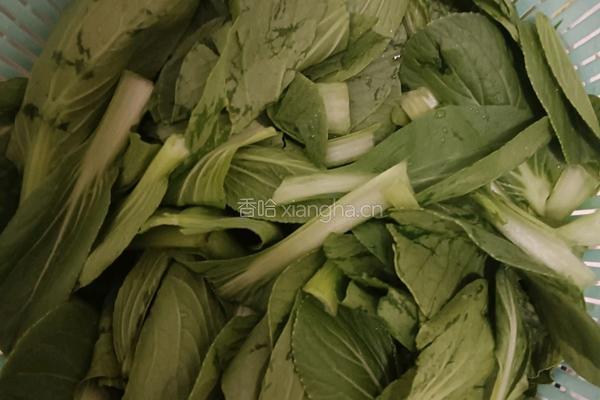 辣炒小青菜的做法图解1