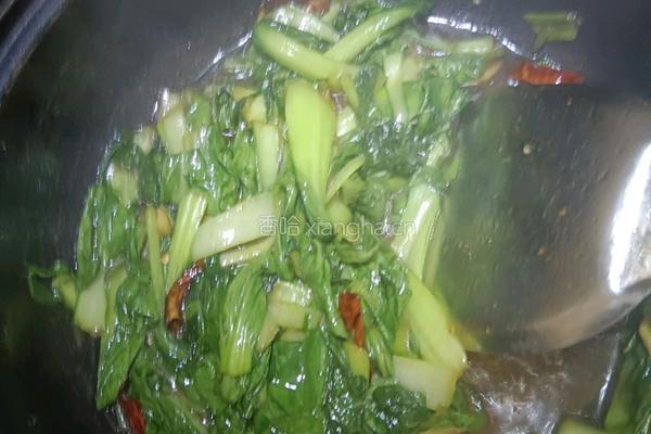 辣炒小青菜的做法图解6