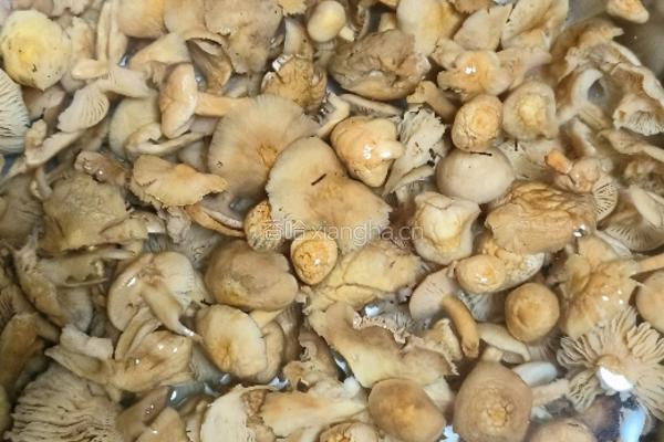 馄饨皮小蒸包的做法图解6