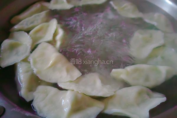 猪肉香菜水饺的做法图解14