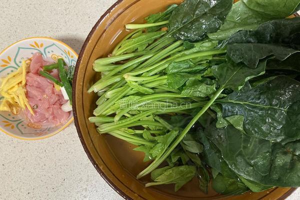 滑肉菠菜汤的做法图解1