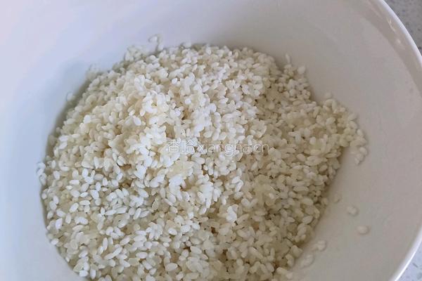 红烧肉焖米饭的做法图解9