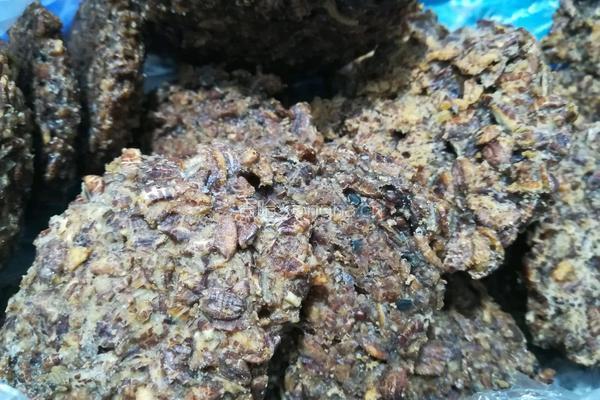枣香燕麦饼干的做法图解7