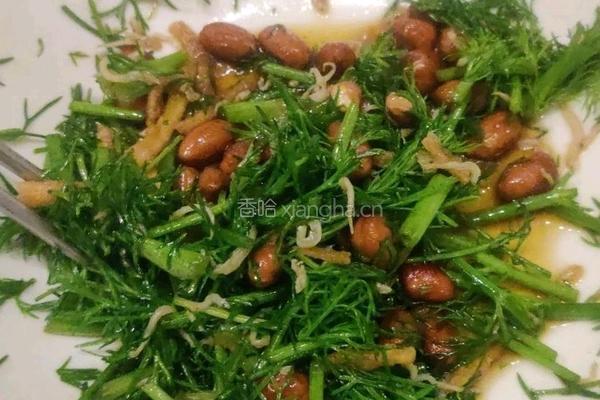 凉拌茴香的做法图解3