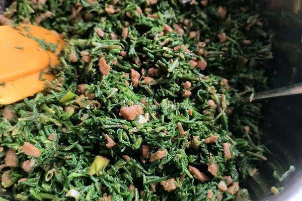 黄茎菜饺子的做法图解5