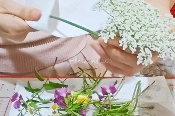 苔藓蛋糕的做法图解8