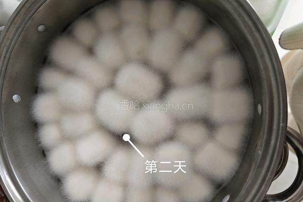 红油乳腐的做法图解6