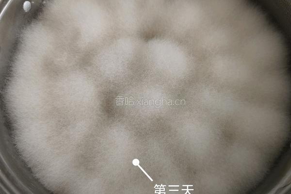 红油乳腐的做法图解7