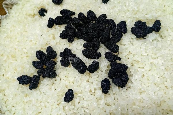 桑葚甜米酒的做法图解2