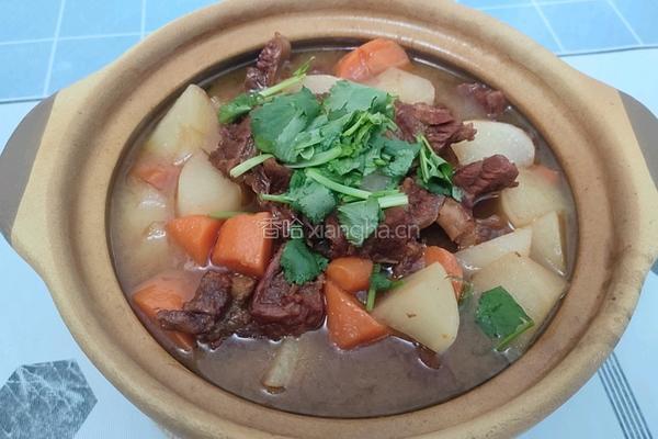 牛肉萝卜煲的做法图解12