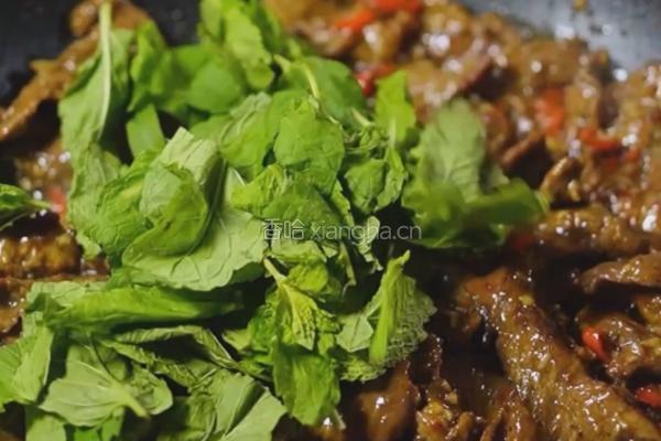 黑松露酱薄荷牛肉的做法图解6