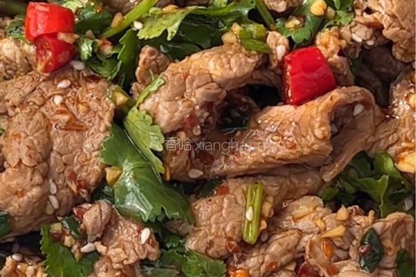 凉拌牛肉，好吃到哭泣！ 绝绝子夏日开胃神器！的做法图解6