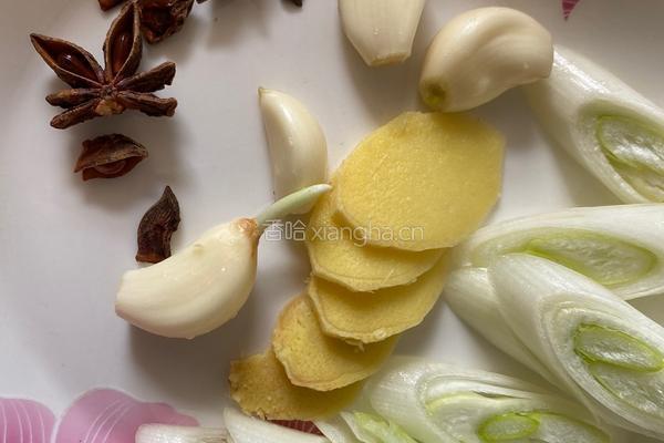 猪肉白菜炖粉条（家常版）的做法图解2