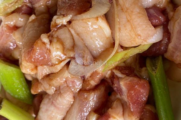 猪肉白菜炖粉条（家常版）的做法图解3
