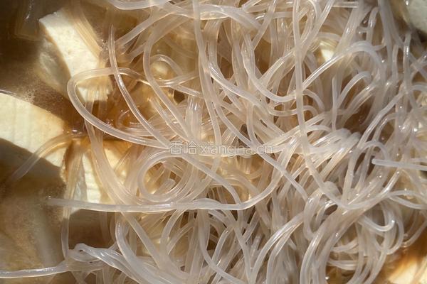 猪肉白菜炖粉条（家常版）的做法图解7