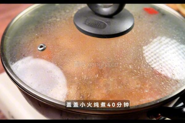 匈牙利炖鸡的做法图解8