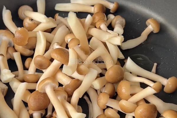 入口滑嫩、菌菇鲜香的菌菇滑蛋真的绝了～超简单哟～的做法图解3