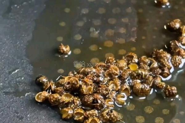 黄骨鱼豆腐汤的做法图解2