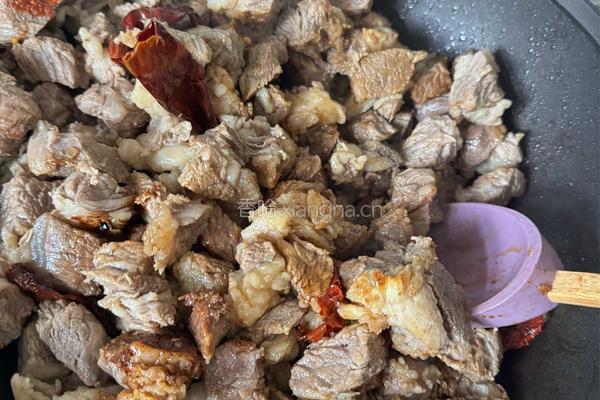 红烧牛肉的做法图解3