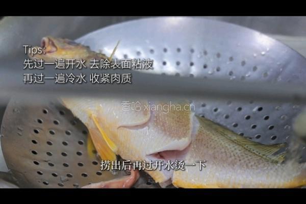 家烧野生黄三的做法图解2