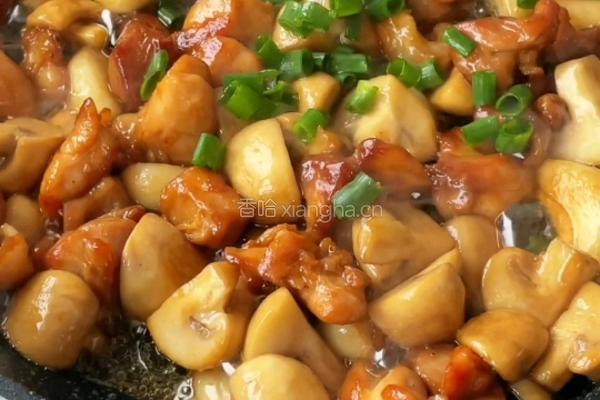 蒜香口蘑鸡腿的做法图解8