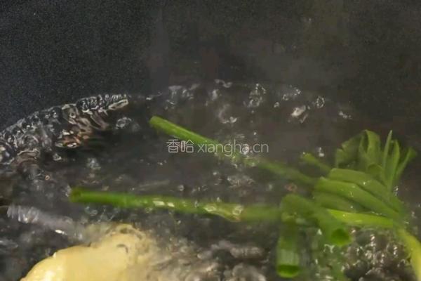 葱油鸡的做法图解1