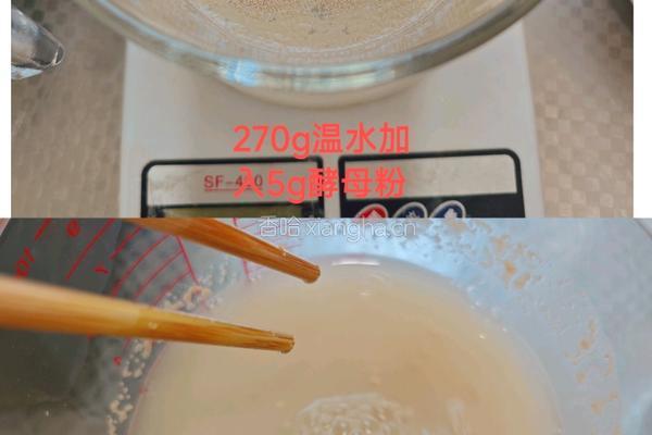 红枣泥花卷的做法图解1
