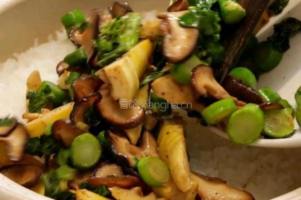 黑松露春笋闷饭的做法图解8