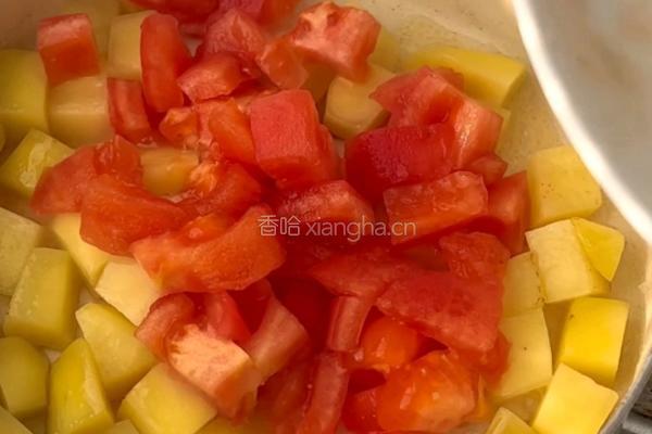 番茄土豆烩饭的做法图解5