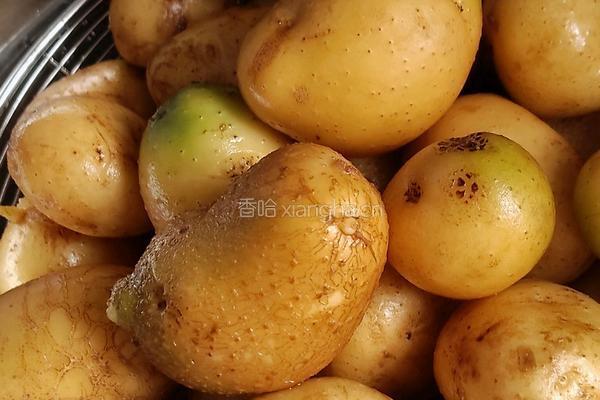 小土豆咸菜的做法图解1