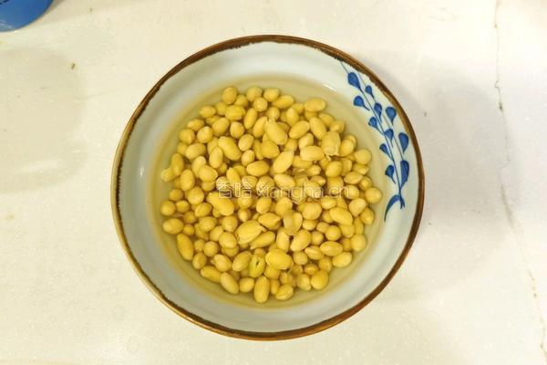凉瓜黄豆排骨汤的做法图解2
