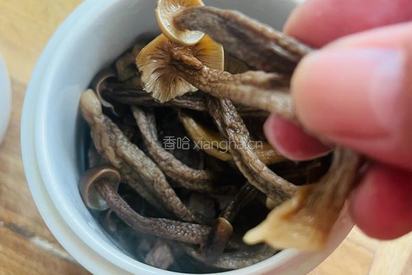 鹿茸菇排骨蒸盅的做法图解2