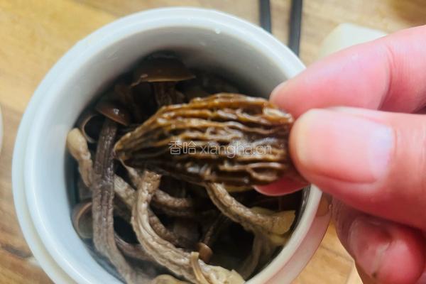 鹿茸菇排骨蒸盅的做法图解3