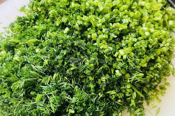 大肉小茴香水饺的做法图解2