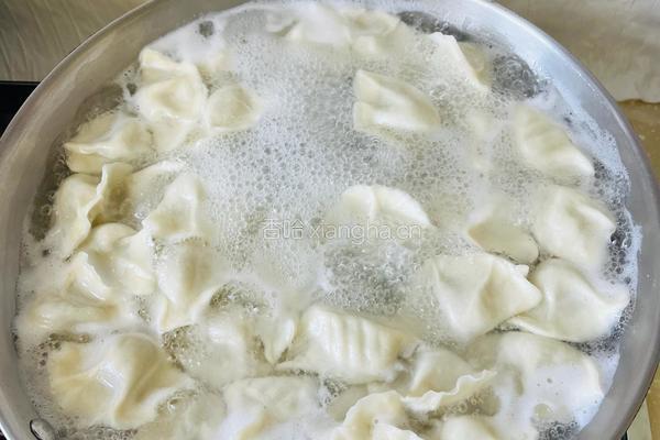 大肉小茴香水饺的做法图解5