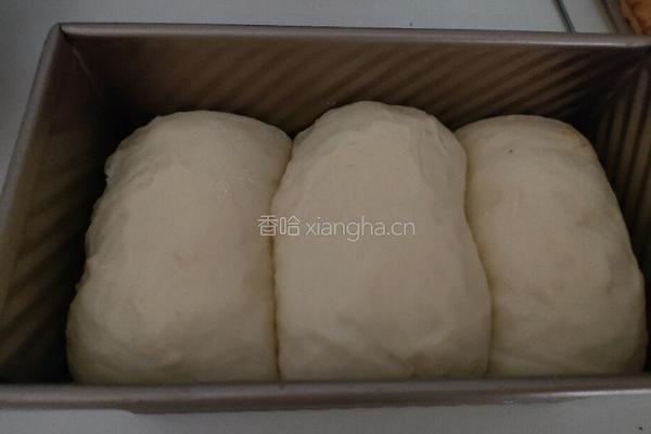 原味牛奶土司的做法图解5