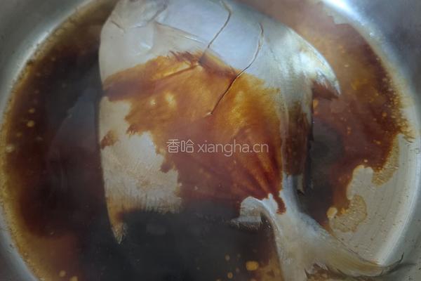 糖醋鲳鱼的做法图解6
