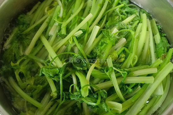 翡翠香芹拌海鲜菇的做法图解3